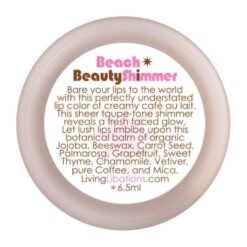 beach-beauty-shimmer2