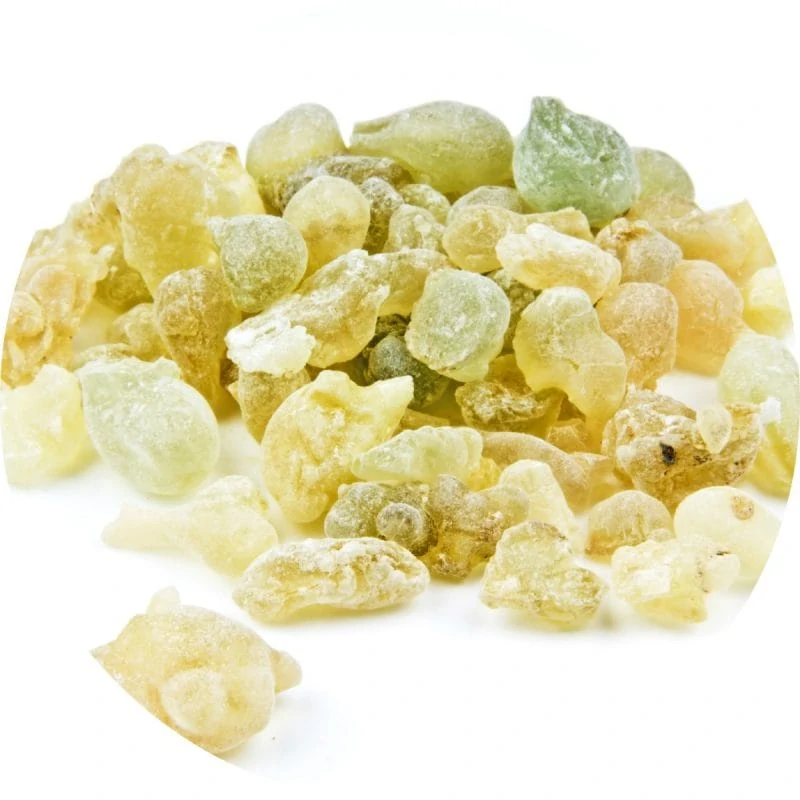 Frankincense Serrata Essential Oil - Living Libations