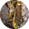 Myrrh Essential Oil - Living Libations