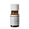 frankincense first friend
