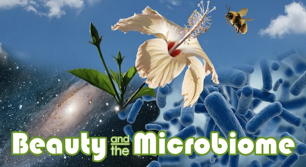 Microorganisms: More Than Meets the Eye - Nadine Artemis