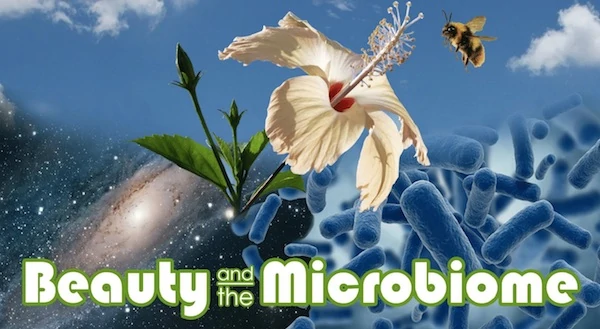 Microorganisms: More Than Meets the Eye - Nadine Artemis