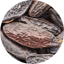 Tonka Bean Absolute