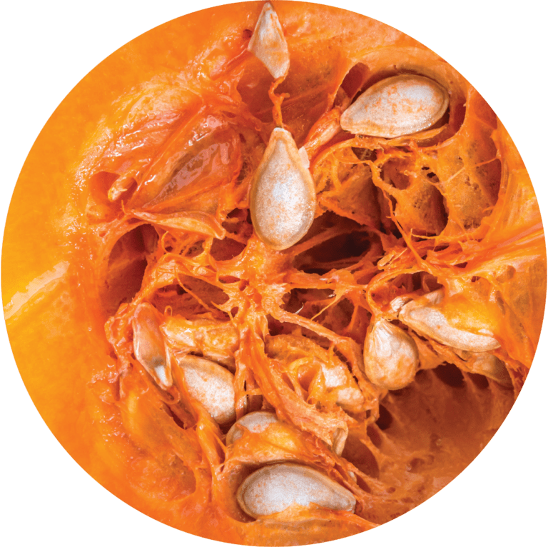 Living Libations Pumpkin Seed Carrier Oil