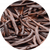 Living Libations Vanilla Fusion Carrier Oil