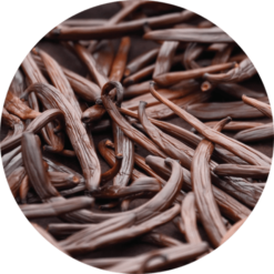 Living Libations Vanilla Fusion Carrier Oil