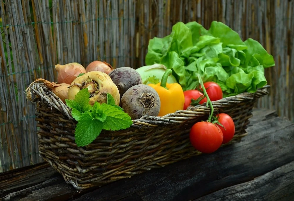 erra Nova is all organic and not synthetic, but how about (for example) vitamin B12 and Vitamin A?