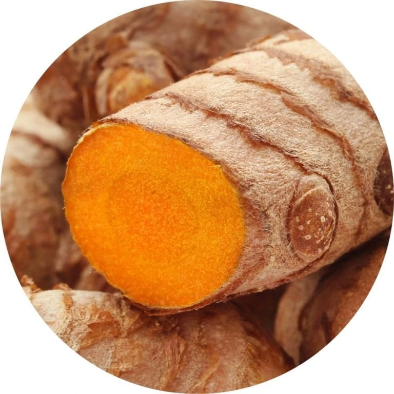 Living Libations Turmeric Essential Oil