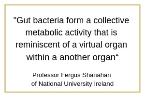 Organic Vegan Natural - Probiotic Power