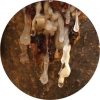 Living Libations - Royal Hojari Frankincense