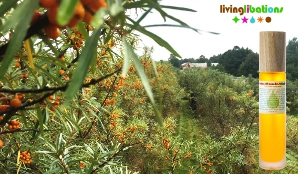 Living Libations - BIO - Best Skin Ever Argousier - Nettoyant Hydratant)