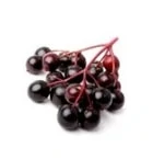 elderberry - Delizioso Skincare