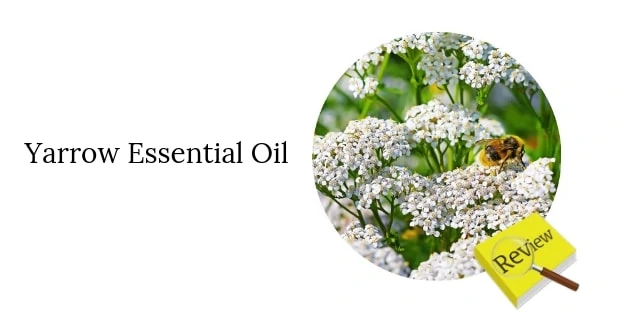 Review - Yarrow Essential Oil - Living Libations