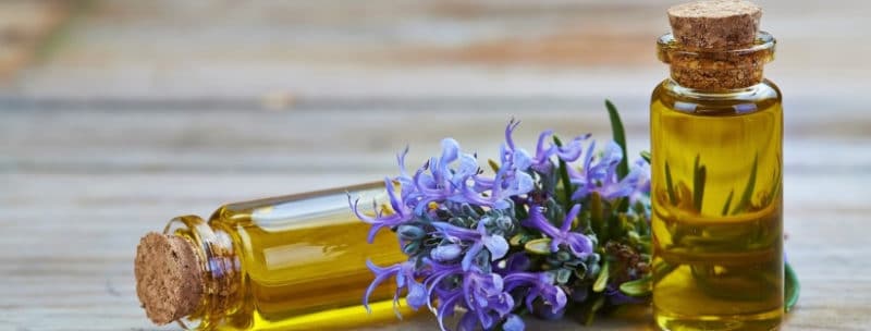 Using Essential Oils Made Easy - Nadine Artemis - Living Libations