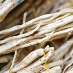 Full Spectrum Astragalus Root Extract Powder – Superior Quality