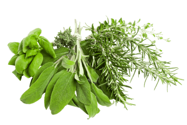 herb-infused oil