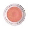 Ballet Slipper Shimmer Living Libations
