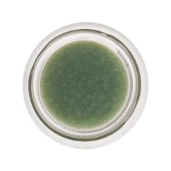 BeDew Dab Ozonated Beauty Balm - Living Libations