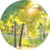 Living Libations White Cognac Essential Oil