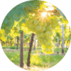 Living Libations White Cognac Essential Oil