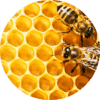 Living Libations honeycomb absolute