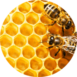 Living Libations honeycomb absolute