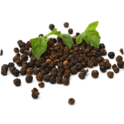 Living Libations Black Pepper Essential Oil