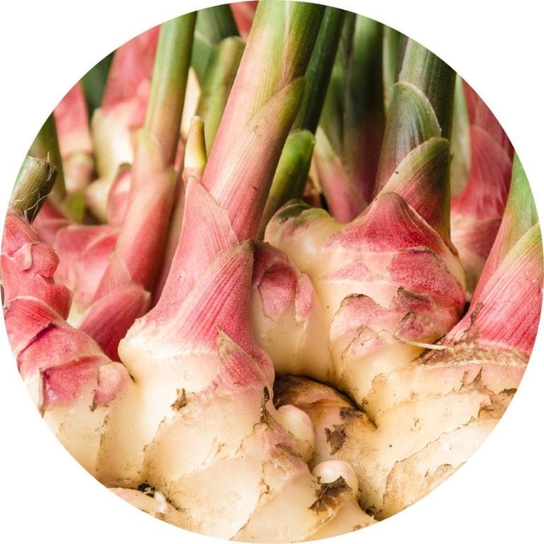 Living Libations Ginger Root Essential Oil