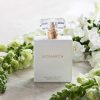 Monarch 100% Natural Perfume