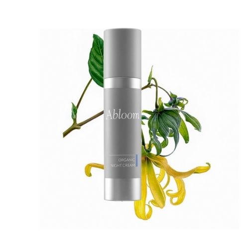 best night cream organic