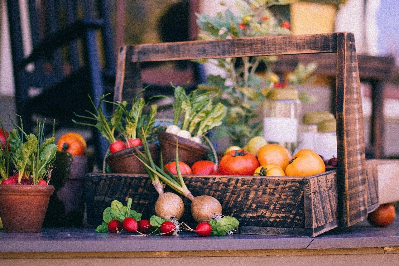 dutch health store vegetables fruit oolution