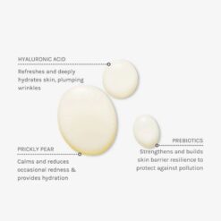 evolve-daily-defence-moisture-mist-key-ingredients