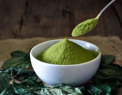 josh rosebrook green tea