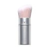 Luminizing Powder Retractable Brush