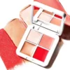 Lip2Cheek Glow Quad