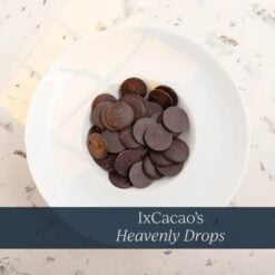 navi-ixcacao