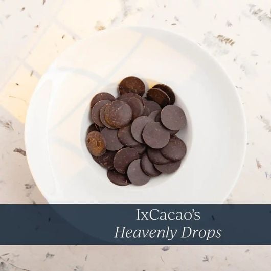 navi-ixcacao