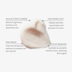 evolve-hydrate-protect-cream-iingredients