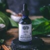 Adaptogenic Tonic | 7 Mushroom + Camu Camu