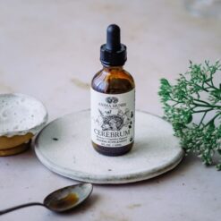 Cerebrum Tonic / Memory + Cognitive