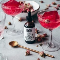 Cerebrum Tonic / Memory + Energy – Image 3