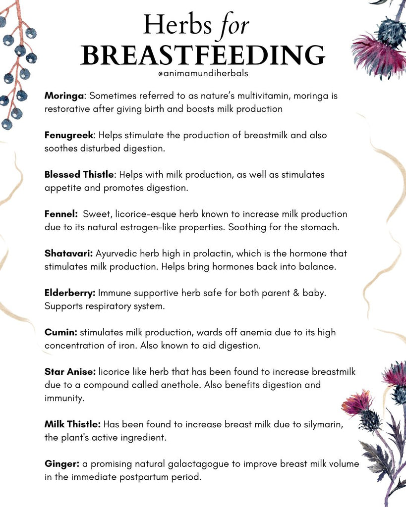 Herbs for pregnancy, postpartum and breastfeeding