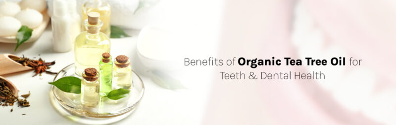 benefits tea tree oil for dental health