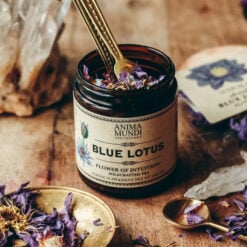 Blue Lotus | Flower of Intuition