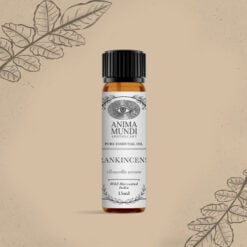 Frankincense Essential Oil | Wildcrafted