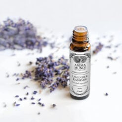 Lavender Kashmir Essential Oil | Sustainably Cultivated
