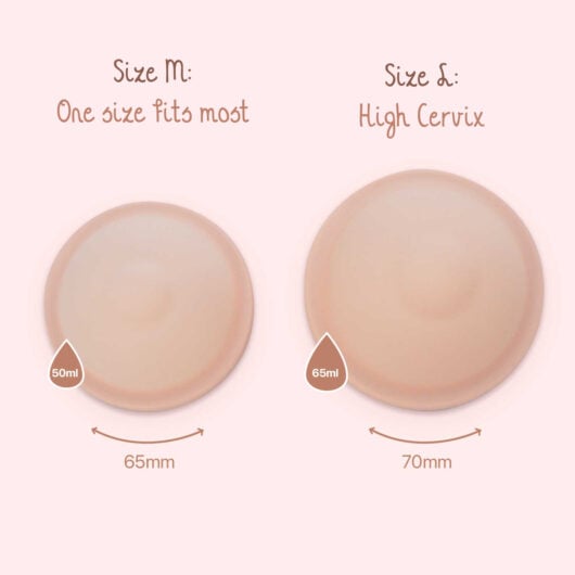 Bamboozy-Menstrual-Disc-2