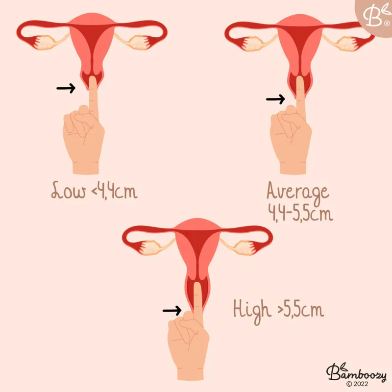 Bamboozy-Menstrual-Disc-12