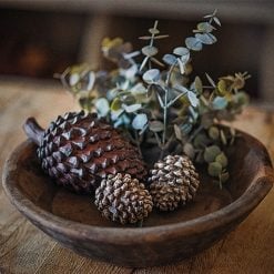 dhs-pine-cones
