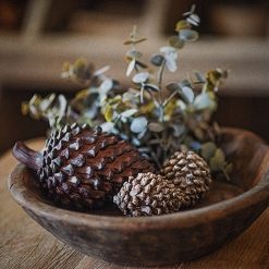 dhs-pine-cones-1